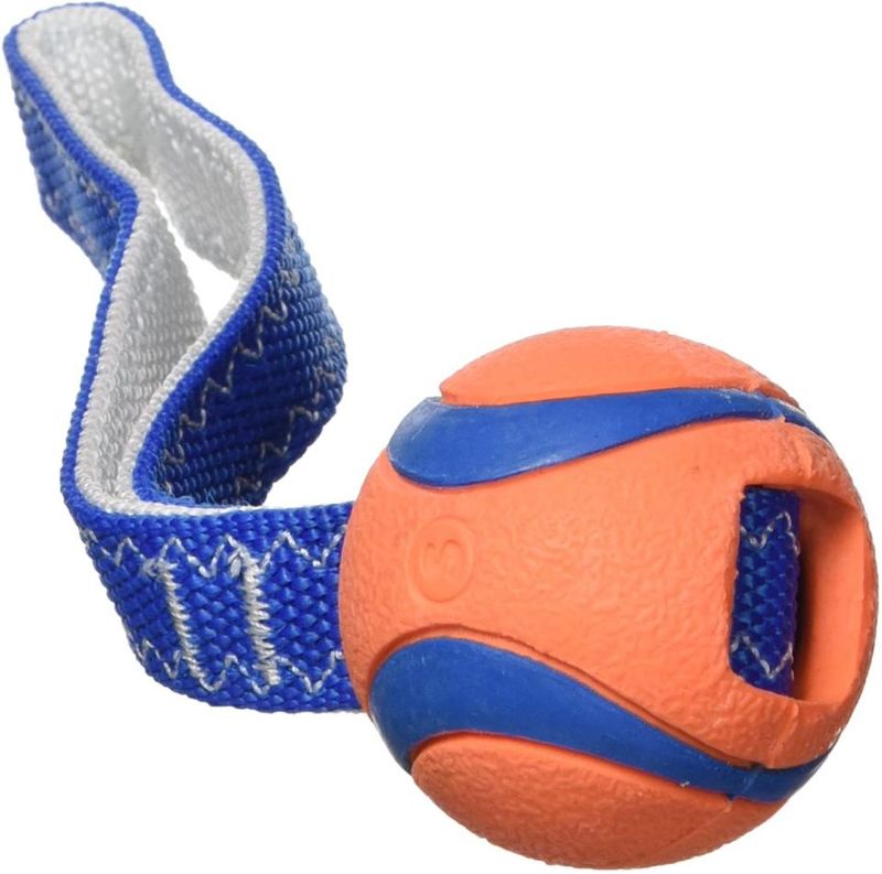 CHUCKIT TUG Ultra Ball på Tau
