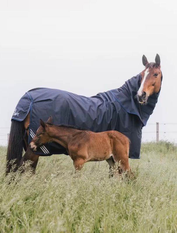 Kentucky Turnout Rug All Weather Waterproof Comfort 0g