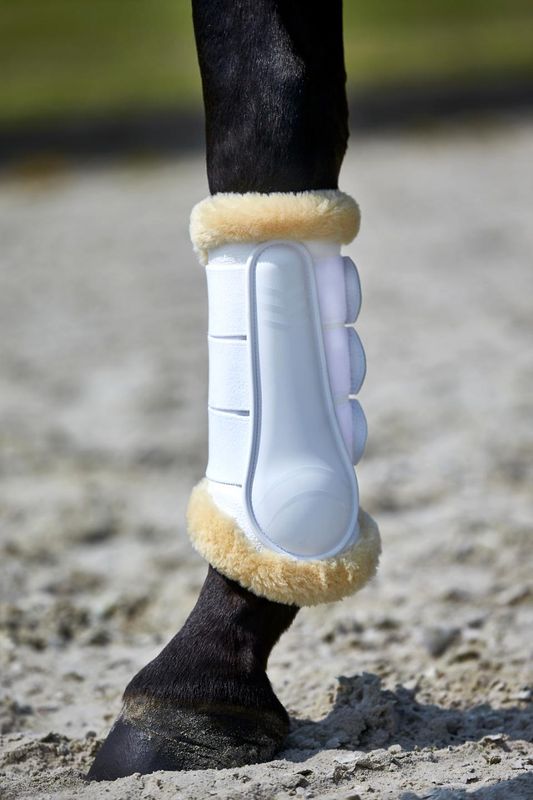 Catago Dressurbelegg 