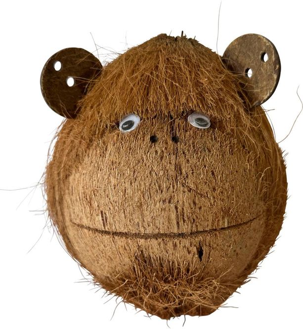 Hovedbilde Coco Monkey 2