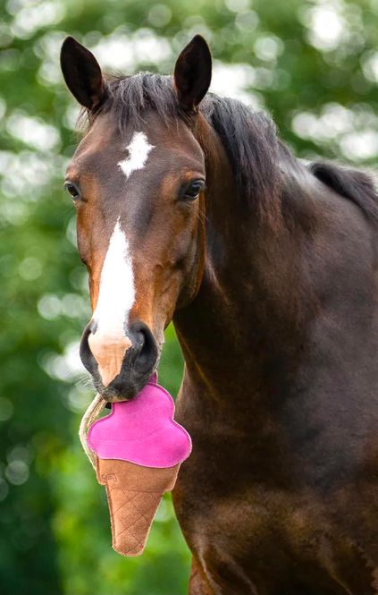 Hovedbilde QHP Horse Toy Snackcounter Ice Cream