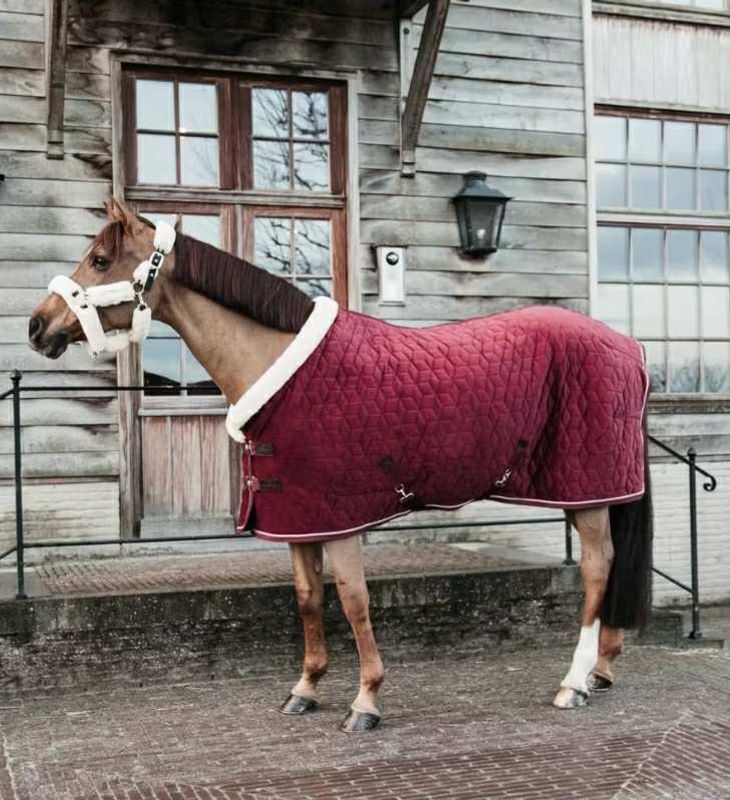 Kentucky Show Rug Velvet