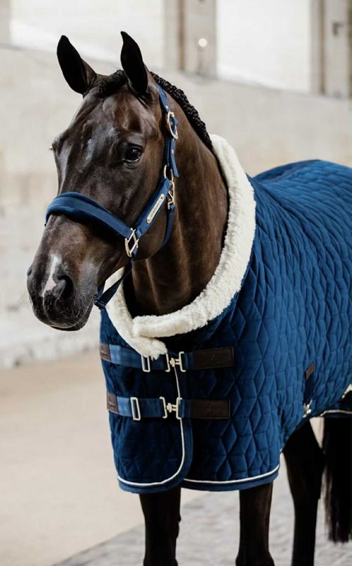 Kentucky Show Rug Velvet