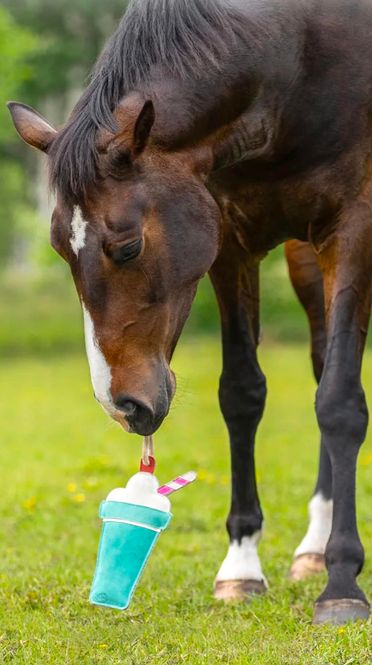 Hovedbilde QHP Horse Toy Snackcounter Ice Cream