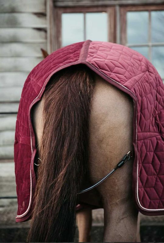 Kentucky Show Rug Velvet