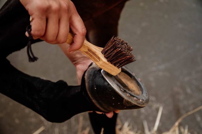 Hovedbilde Grooming Deluxe Hoof Pick