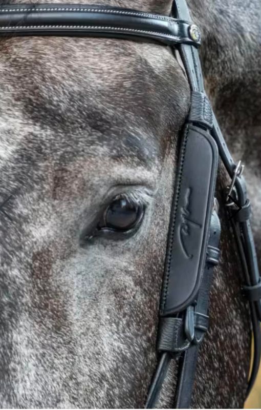 Dyon Blinkers