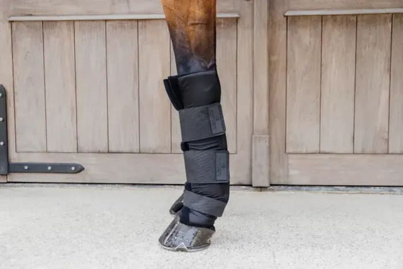 Kentucky Stable boots PROtect Classic Front