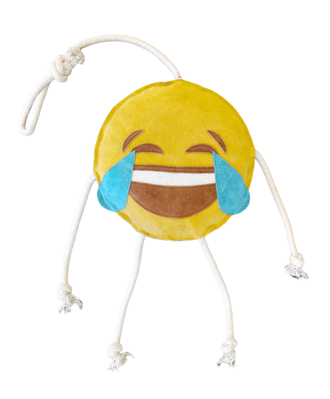 Santa Cruz Emoji Laugh Hesteleke