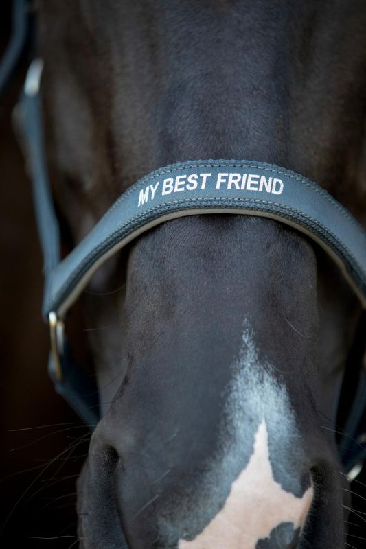 HorseGuard Malva grime Grå 