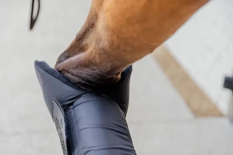 Kentucky Stable boots PROtect Classic Front