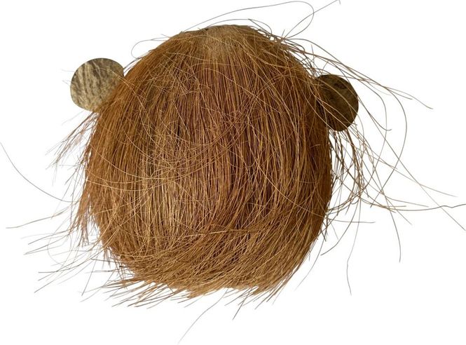 Hovedbilde Coco Monkey 1