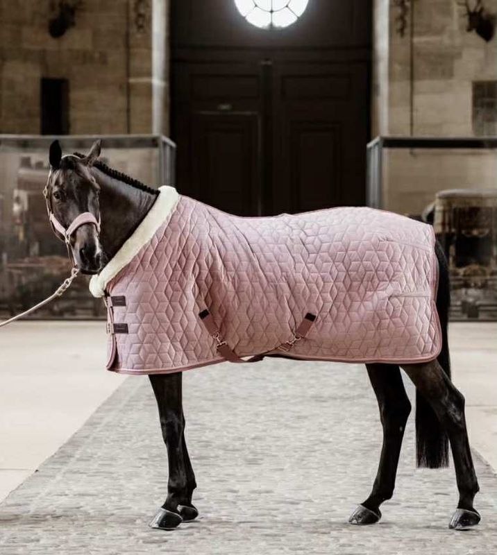 Kentucky Show Rug Velvet